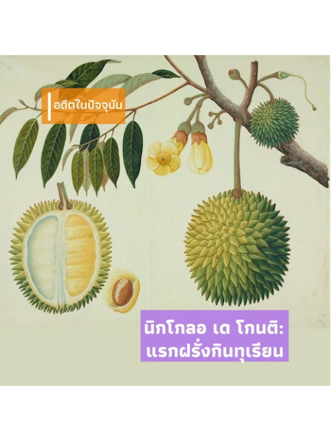 ภาพกิจกรรม